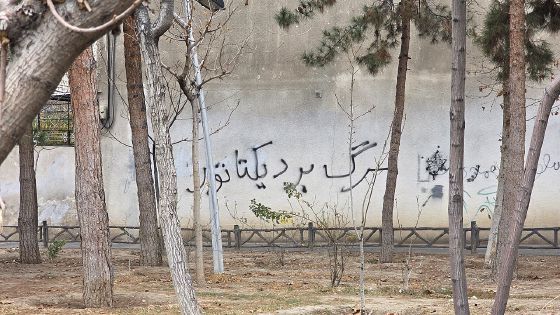 Persian words in black spray paint on a pale wall, seen through a row of bare trees